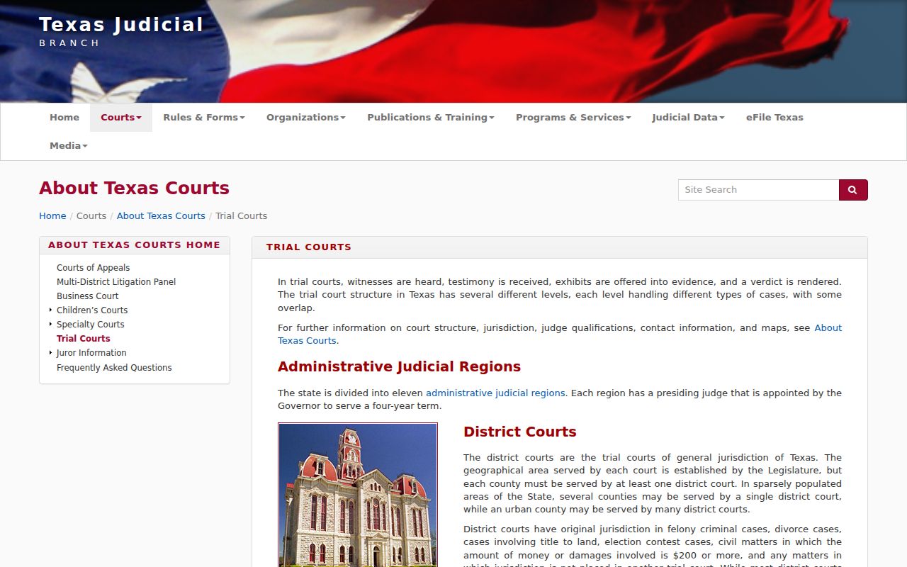 Ector County warrant records within the Texas trial court structure